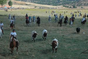 Fiestas en Honor de NTRA. SRA. DE LA ASUNCIÓN Y SAN ROQUE 2014