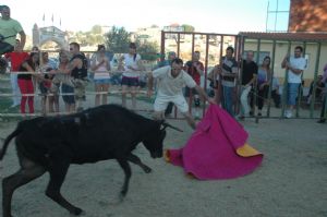 Fiestas en Honor de NTRA. SRA. DE LA ASUNCIÓN Y SAN ROQUE 2013 