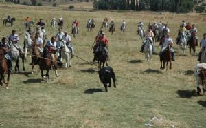 Encierro de Venialbo