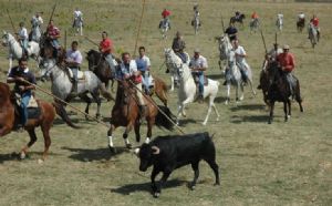 Encierro de Venialbo