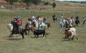 Encierro de Venialbo