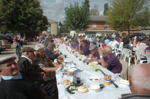 XII FIESTA DE LA VENDIMIA. VENIALBO 2014