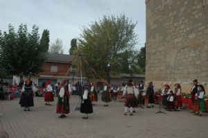 XII FIESTA DE LA VENDIMIA. VENIALBO 2014