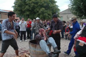 XII FIESTA DE LA VENDIMIA. VENIALBO 2014