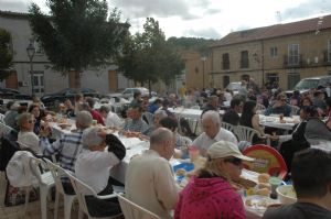 XII FIESTA DE LA VENDIMIA. VENIALBO 2014