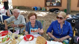 FIESTAS EN HONOR DE NTRA. SRA. DE LA ASUNCIÓN Y SAN ROQUE 2015