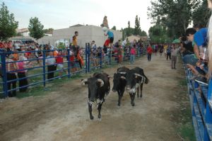 FIESTAS PATRONALES VENIALBO 2013