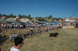 FIESTAS PATRONALES VENIALBO 2013