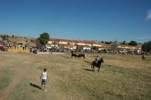 FIESTAS PATRONALES VENIALBO 2013