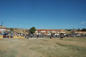 FIESTAS PATRONALES VENIALBO 2013