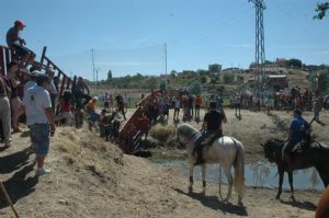 FIESTAS PATRONALES VENIALBO 2013