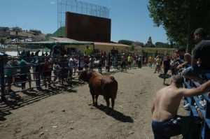 FIESTAS PATRONALES VENIALBO 2013