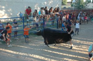 FIESTAS PATRONALES VENIALBO 2013