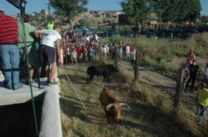 FIESTAS PATRONALES VENIALBO 2013