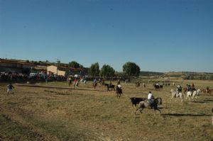 FIESTAS PATRONALES VENIALBO 2013