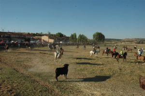 FIESTAS PATRONALES VENIALBO 2013