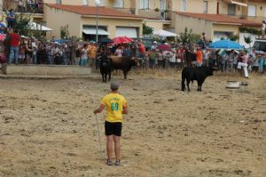 FIESTAS EN HONOR DE  NTRA. SEÑORA DE LA ASUNCIÓN Y SAN ROQUE 2016.