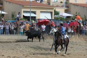 FIESTAS EN HONOR DE  NTRA. SEÑORA DE LA ASUNCIÓN Y SAN ROQUE 2016.