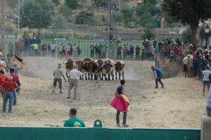 FIESTAS EN HONOR DE  NTRA. SEÑORA DE LA ASUNCIÓN Y SAN ROQUE 2016.