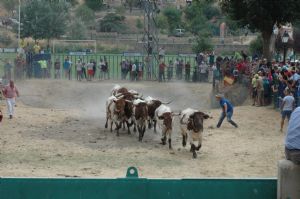 FIESTAS EN HONOR DE  NTRA. SEÑORA DE LA ASUNCIÓN Y SAN ROQUE 2016.