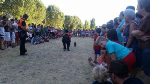 FIESTAS EN HONOR DE  NTRA. SEÑORA DE LA ASUNCIÓN Y SAN ROQUE 2016.