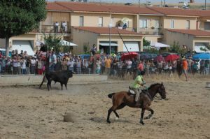 FIESTAS EN HONOR DE  NTRA. SEÑORA DE LA ASUNCIÓN Y SAN ROQUE 2016.