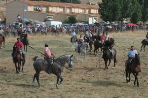 FIESTAS EN HONOR DE  NTRA. SEÑORA DE LA ASUNCIÓN Y SAN ROQUE 2016.