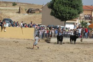 FIESTAS EN HONOR DE  NTRA. SEÑORA DE LA ASUNCIÓN Y SAN ROQUE 2016.