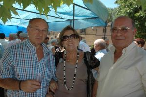 La Fiesta de Nuestros Mayores. Venialbo 2013  