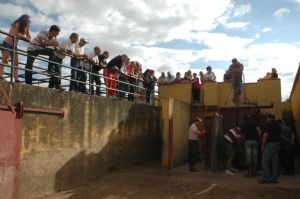 Presentación de los Toros San Roque 2013