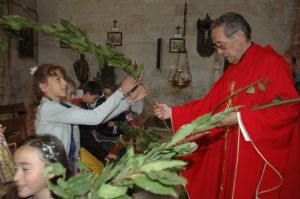 PROCESION DOMINGO DE RAMOS 2014