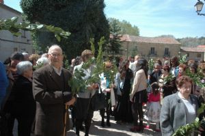 PROCESION DOMINGO DE RAMOS 2014