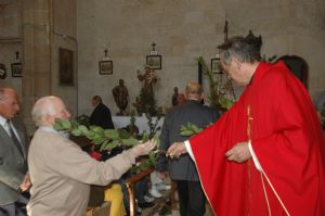 PROCESION DOMINGO DE RAMOS 2014
