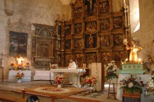 FESTIVIDAD DE SAN ANTONIO DE PADUA  EN VENIALBO 2014