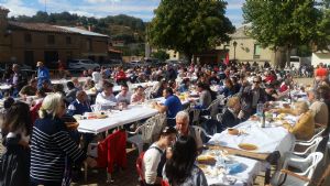 XIV FIESTA DE LA VENDIMIA. VENIALBO 2016