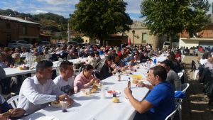 XIV FIESTA DE LA VENDIMIA. VENIALBO 2016