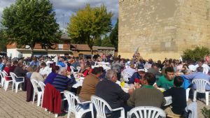 XIV FIESTA DE LA VENDIMIA. VENIALBO 2016