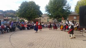 XIV FIESTA DE LA VENDIMIA. VENIALBO 2016