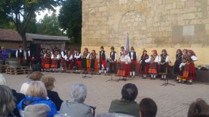 XIV FIESTA DE LA VENDIMIA. VENIALBO 2016