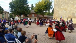 XIV FIESTA DE LA VENDIMIA. VENIALBO 2016