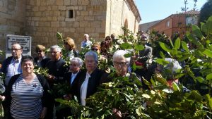 DOMINGO DE RAMOS EN VENIALBO. 2017