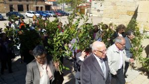 DOMINGO DE RAMOS EN VENIALBO. 2017