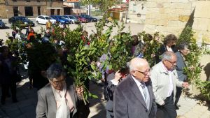 DOMINGO DE RAMOS EN VENIALBO. 2017