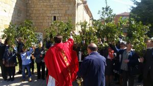 DOMINGO DE RAMOS EN VENIALBO. 2017