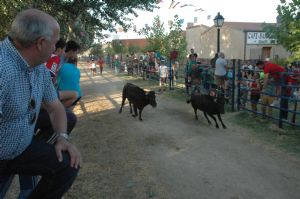 FIESTAS EN HONOR DE  NTRA. SEÑORA DE LA ASUNCIÓN Y SAN ROQUE 2016.