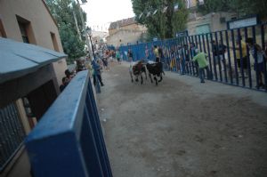 FIESTAS EN HONOR DE  NTRA. SEÑORA DE LA ASUNCIÓN Y SAN ROQUE 2016.