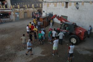 FIESTAS EN HONOR DE  NTRA. SEÑORA DE LA ASUNCIÓN Y SAN ROQUE 2016.