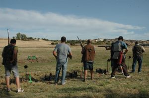 FIESTAS EN HONOR DE NTRA. SRA. DE LA ASUNCIÓN Y SAN ROQUE 2014