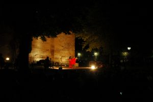 FIESTAS EN HONOR DE NTRA. SRA. DE LA ASUNCIÓN Y SAN ROQUE 2014