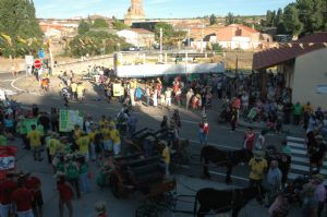 FIESTAS EN HONOR DE NTRA. SRA. DE LA ASUNCIÓN Y SAN ROQUE 2014